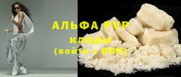 гидра Володарск