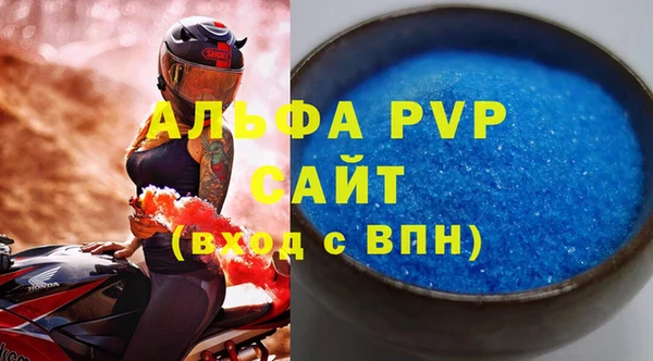 гидра Володарск