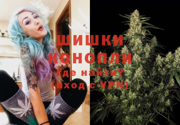 шишки Волосово
