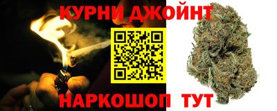 индика Ливны
