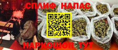 индика Ливны