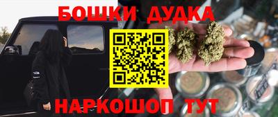 индика Ливны