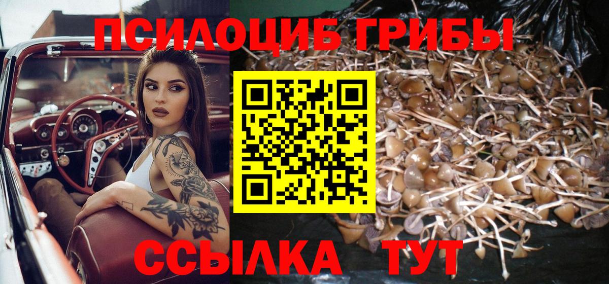Галлюциногенные грибы Magic Shrooms  Вход с VPN  Псилоцибиновые грибы Magic Shrooms  Елец 