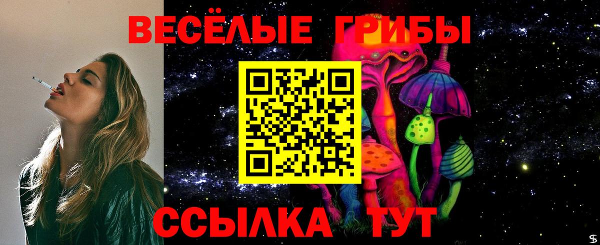 Галлюциногенные грибы GOLDEN TEACHER Елец